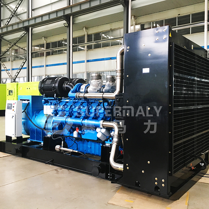 How should you choose between a diesel engine and a gas engine for your project?